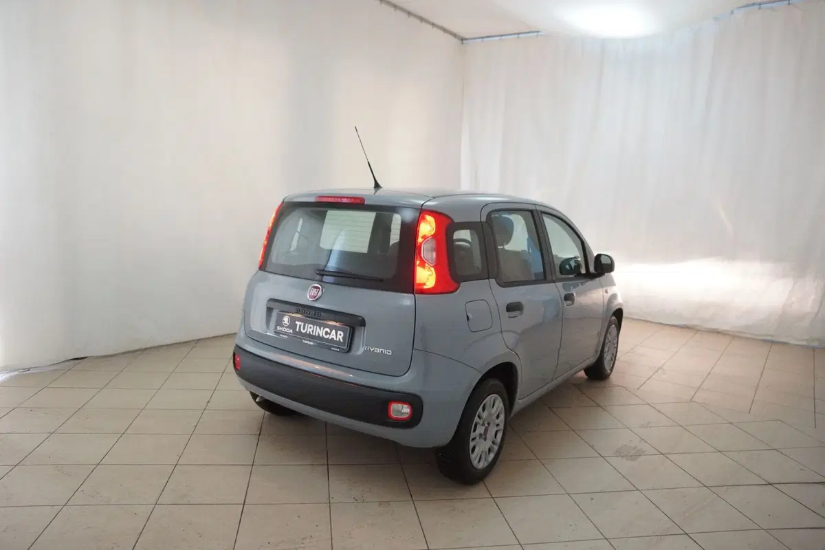 Fiat Panda Cross usata a Torino (20)