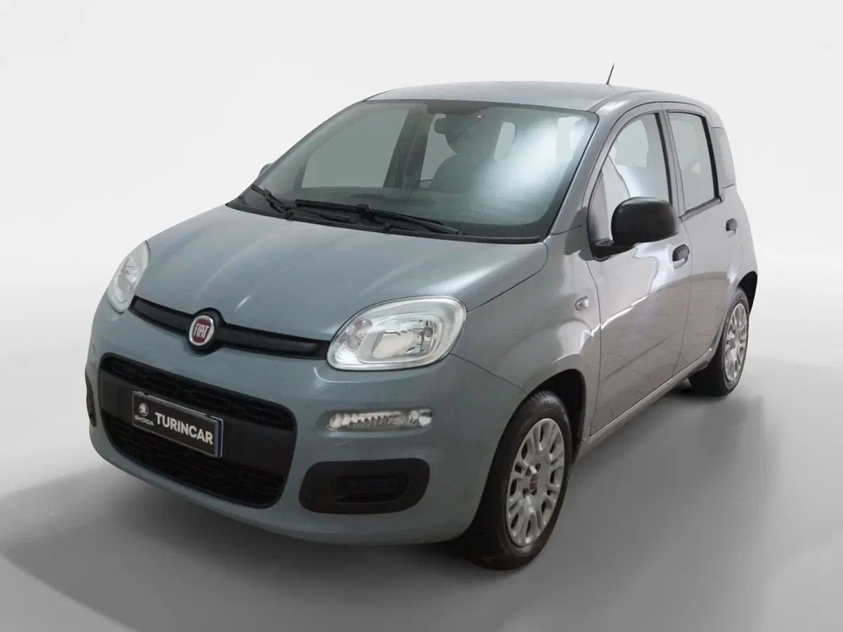 Fiat Panda Cross usata a Torino (3)