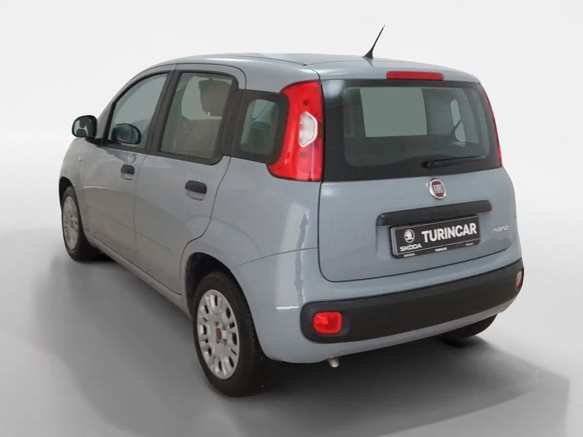 Fiat Panda Cross usata a Torino (4)
