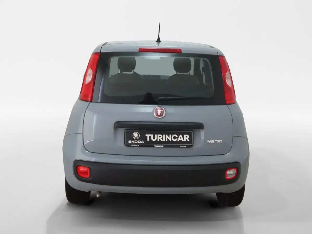 Fiat Panda Cross usata a Torino (5)