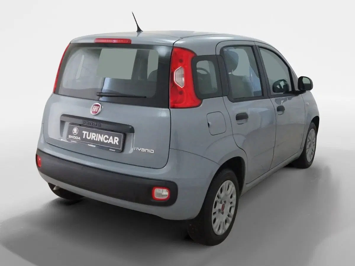 Fiat Panda Cross usata a Torino (6)