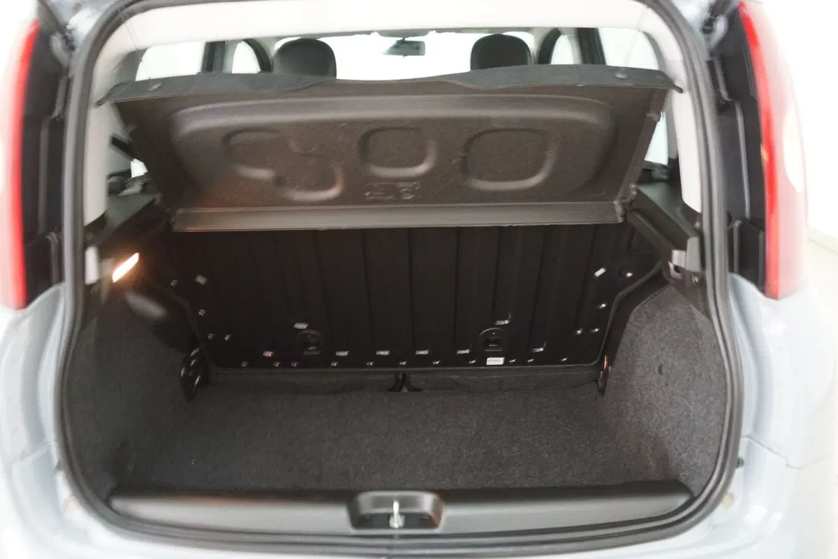 Fiat Panda Cross usata a Torino (7)