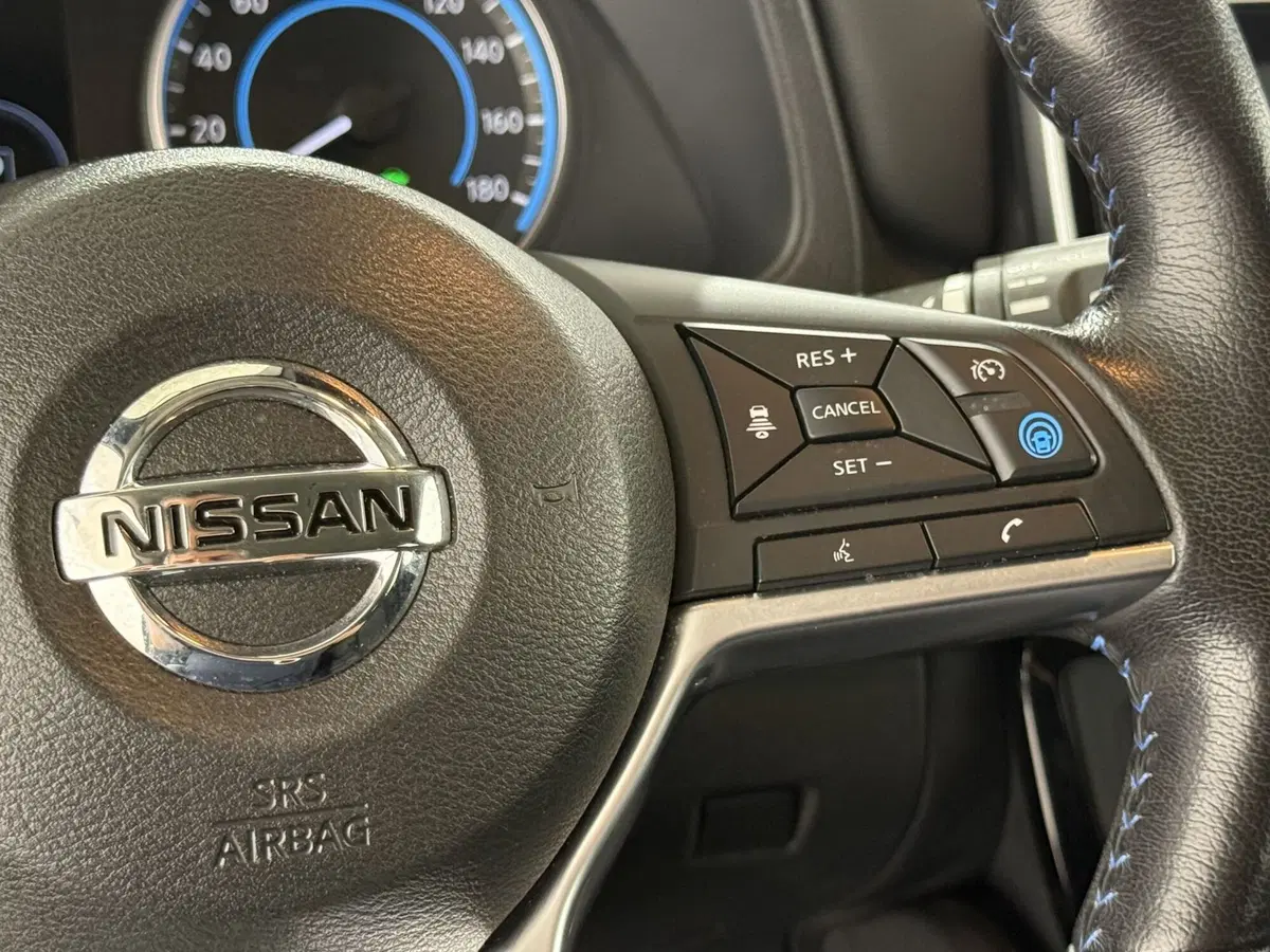 Nissan Leaf usata a Perugia (12)