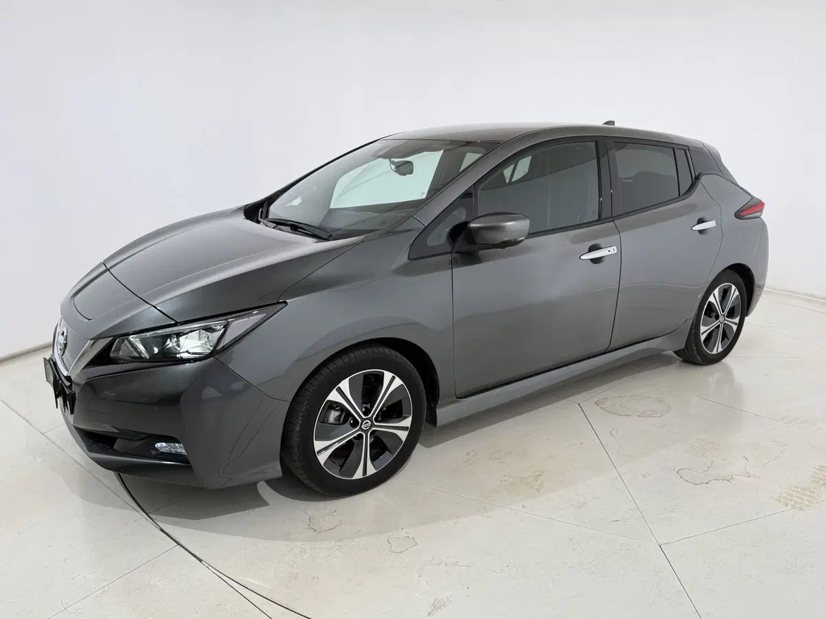 Nissan Leaf usata a Perugia (3)