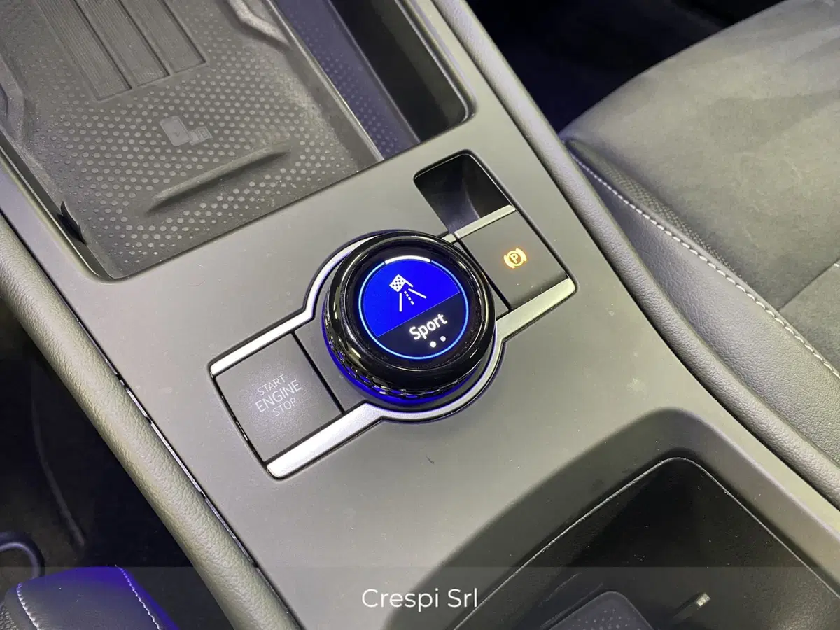 Volkswagen T-Roc usata a Varese (20)