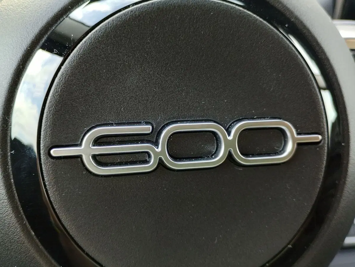 Fiat 600 nuova a Ravenna (15)
