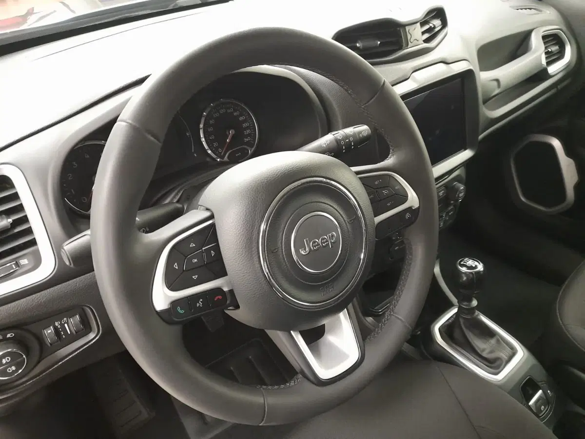 Jeep Renegade usata a Alessandria (12)