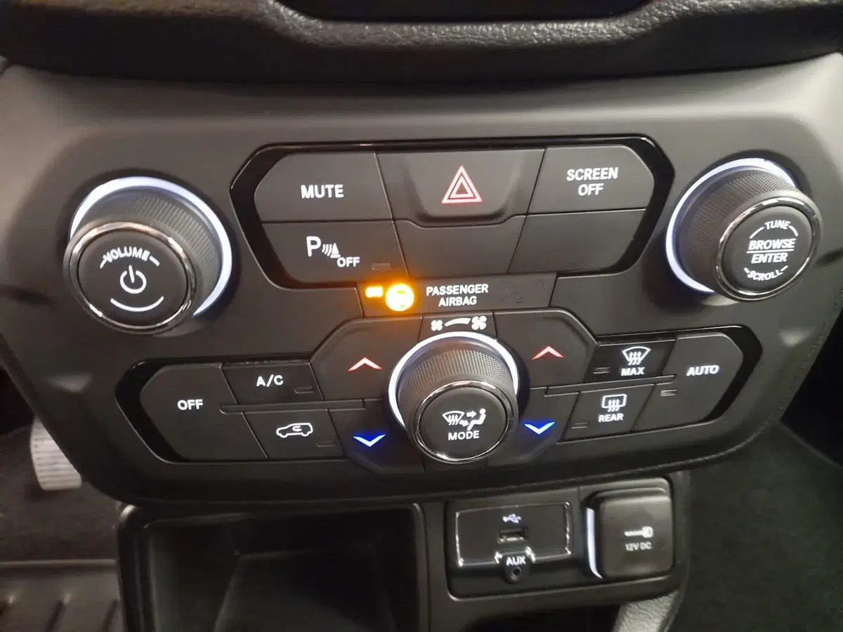 Jeep Renegade usata a Alessandria (15)