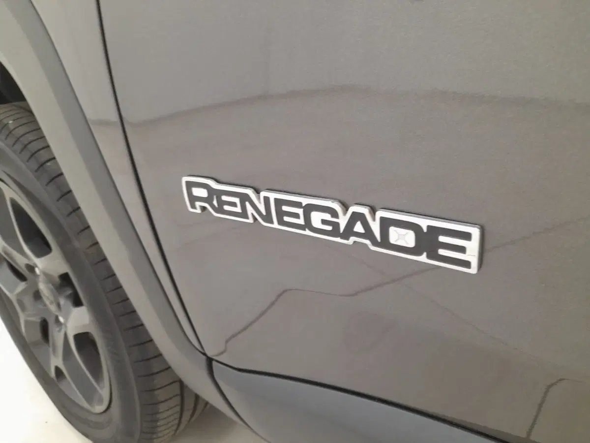 Jeep Renegade usata a Alessandria (8)