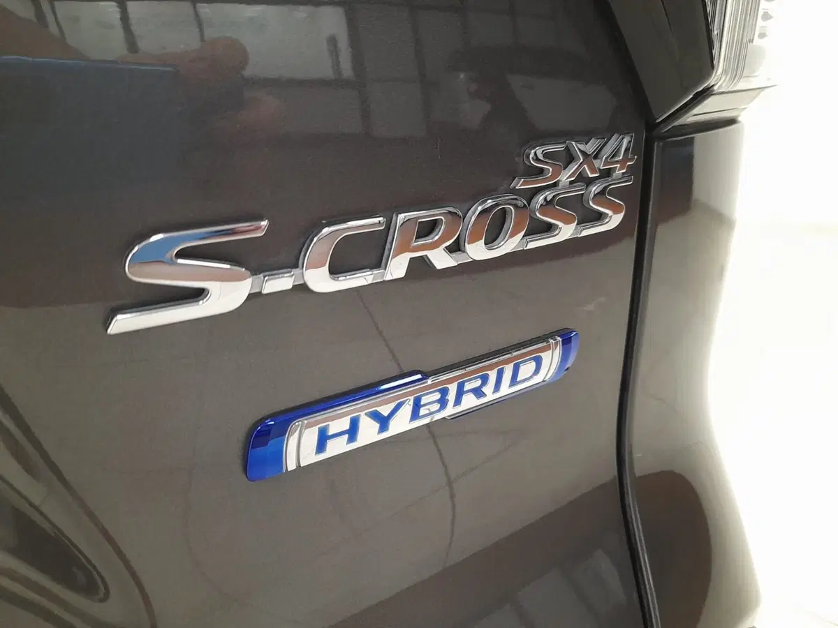 Suzuki S-Cross usata a Alessandria (9)