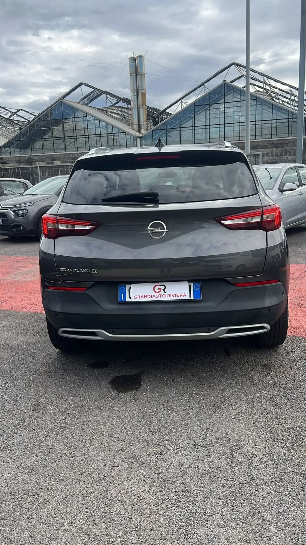 Opel Grandland X usata a Alessandria (4)