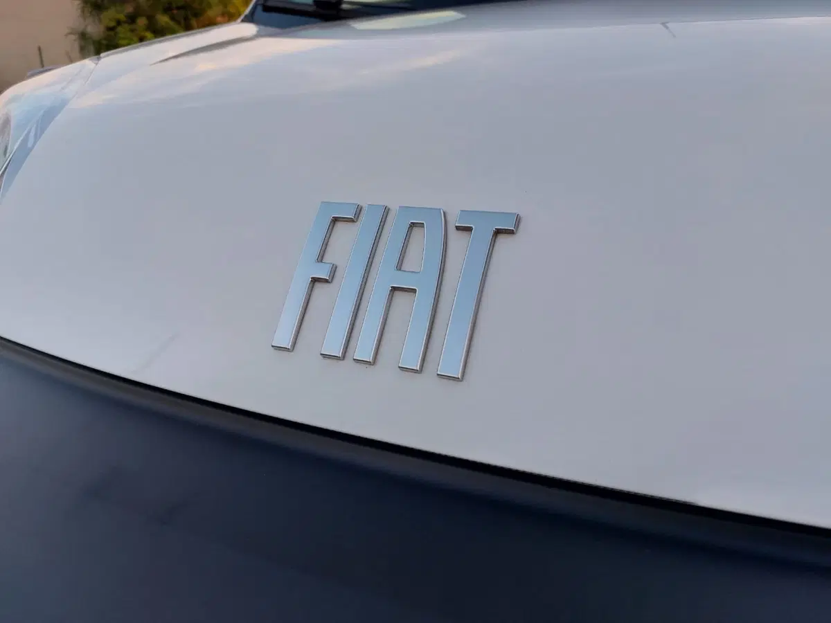 Fiat Fiorino usata a Pavia (15)