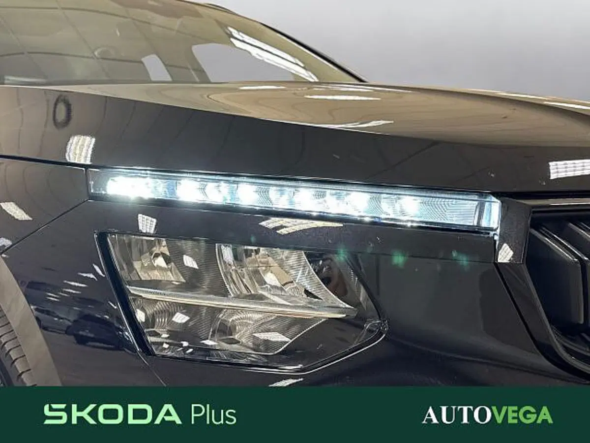 Skoda Kamiq usata a Vicenza (19)