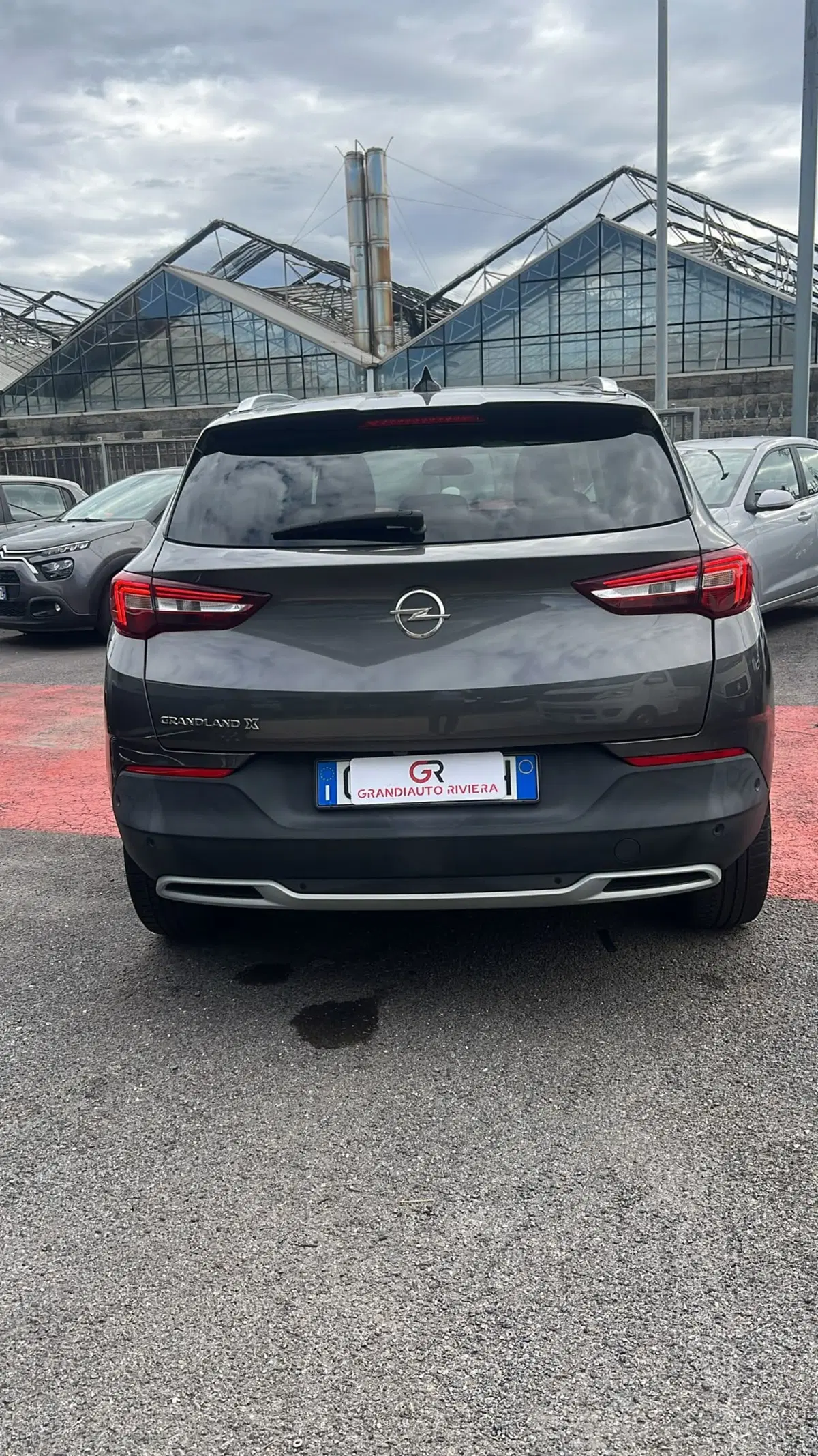 Opel Grandland X usata a Alessandria (4)