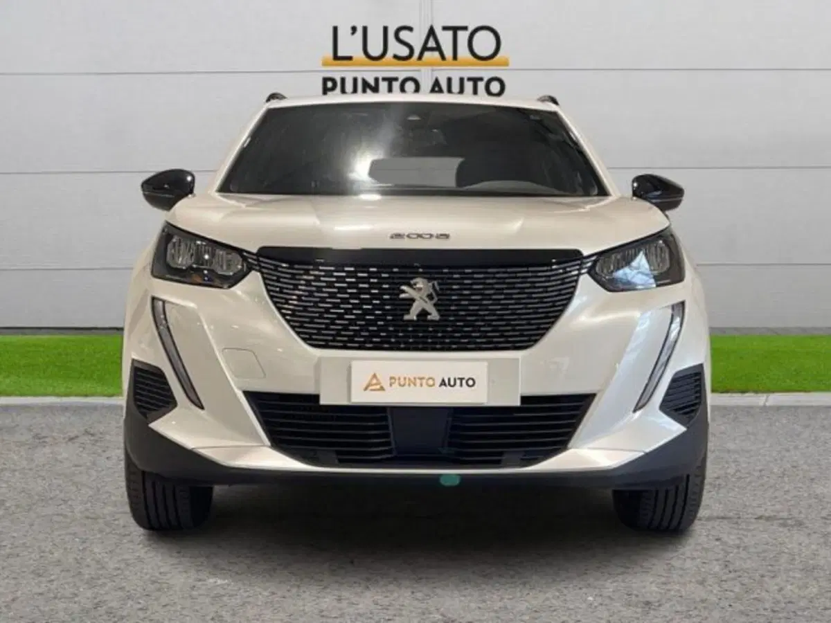 Peugeot 2008 usata a Ancona (2)
