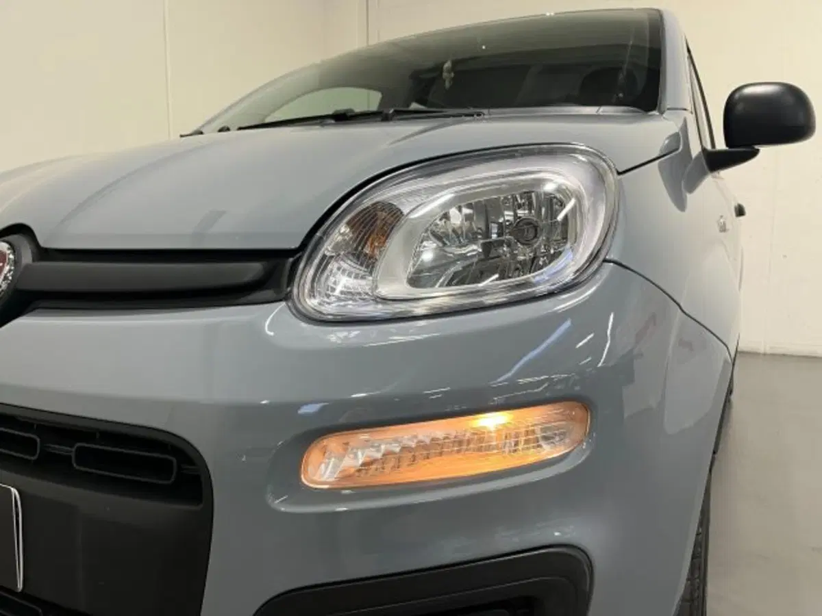 Fiat Panda usata a Treviso (10)