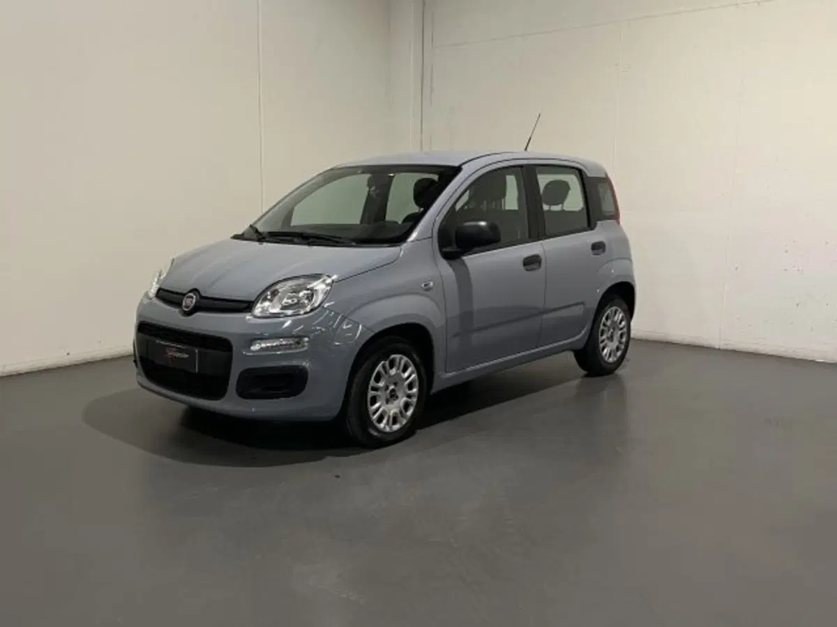 Fiat Panda usata a Treviso (2)