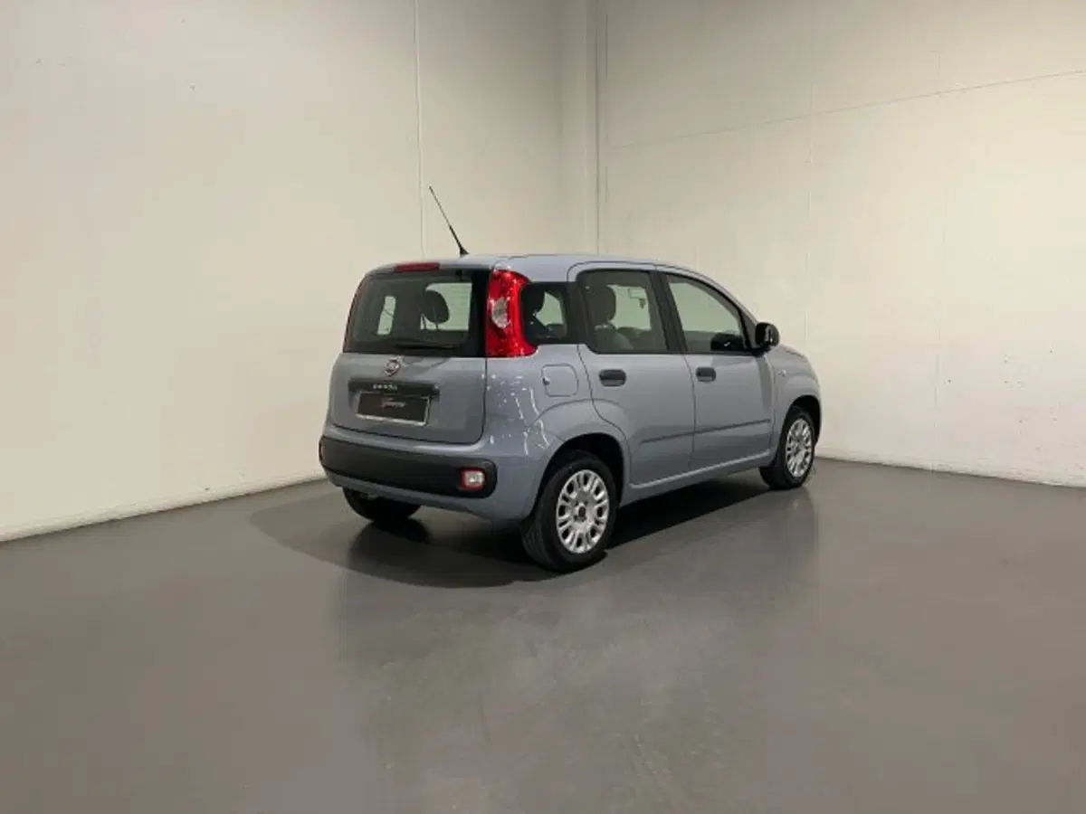 Fiat Panda usata a Treviso (3)
