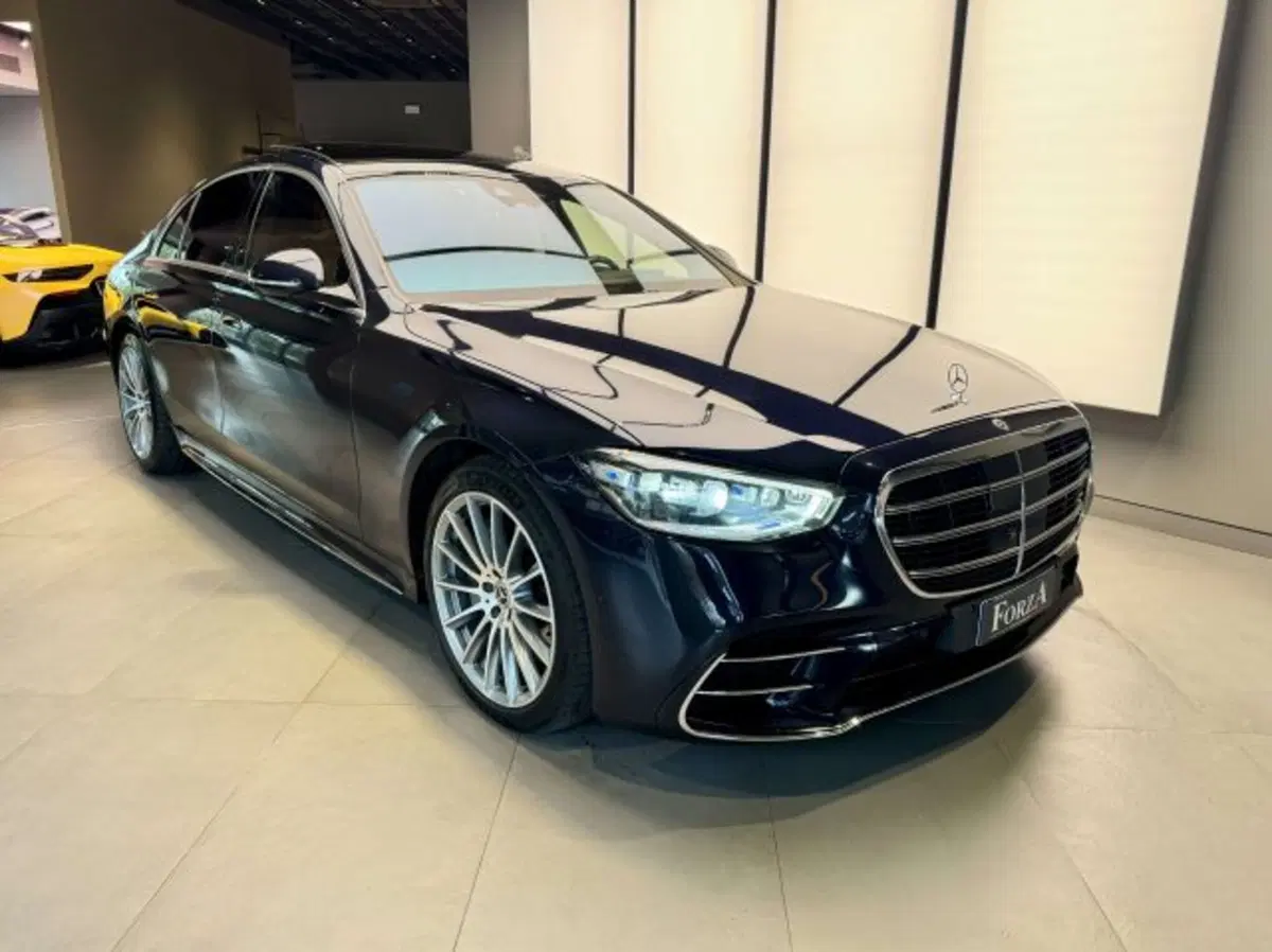 Mercedes-Benz Classe S usata a Torino (3)