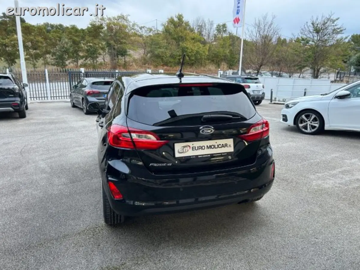 Ford Fiesta usata a Campobasso (10)