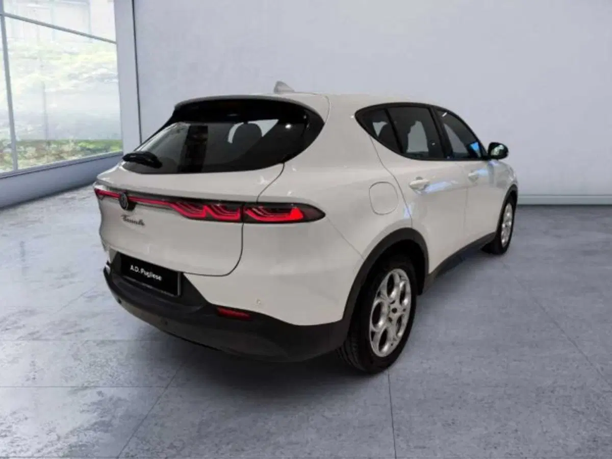 Alfa Romeo Tonale usata a Caltanissetta (5)