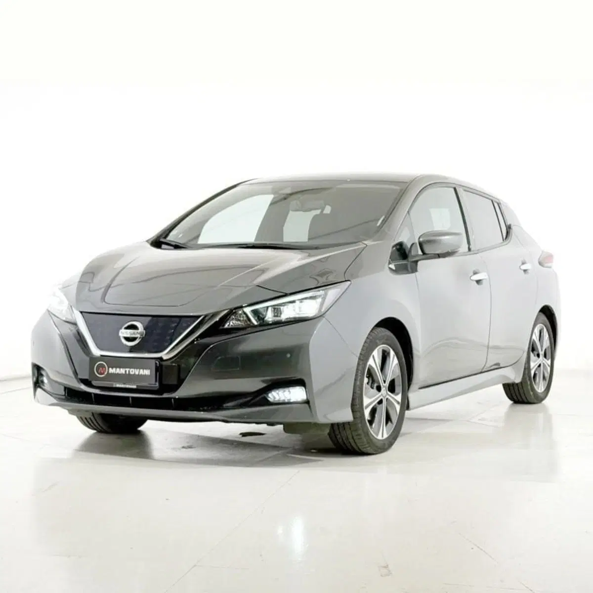 Nissan Leaf usata a Perugia