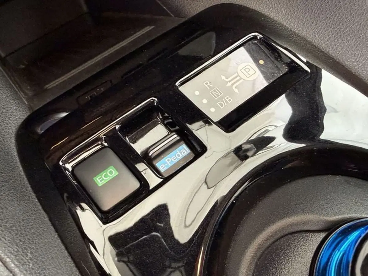 Nissan Leaf usata a Perugia (18)