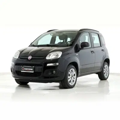 Fiat Panda 0.9 TwinAir Turbo Natural Power Easy del 2015 usata a Bastia Umbra