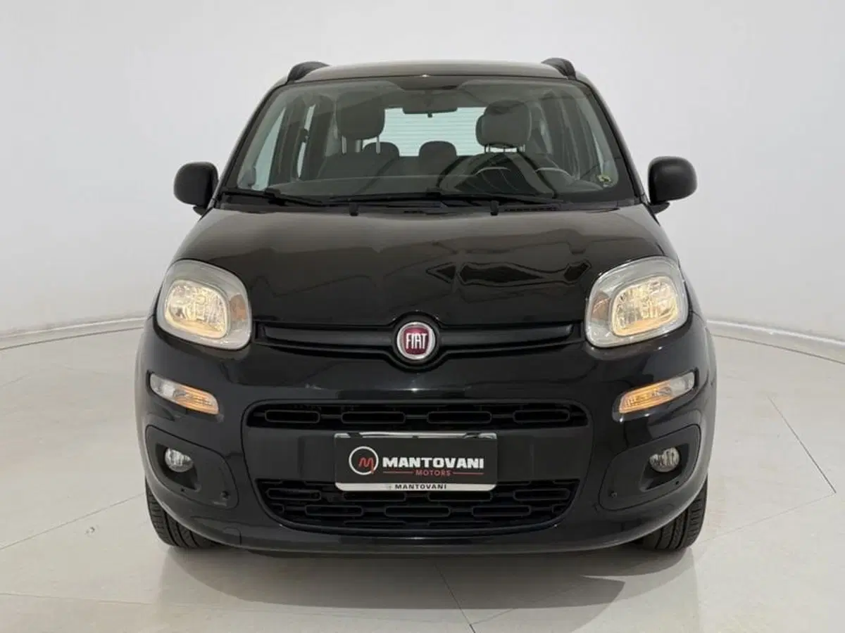 Fiat Panda usata a Perugia (17)