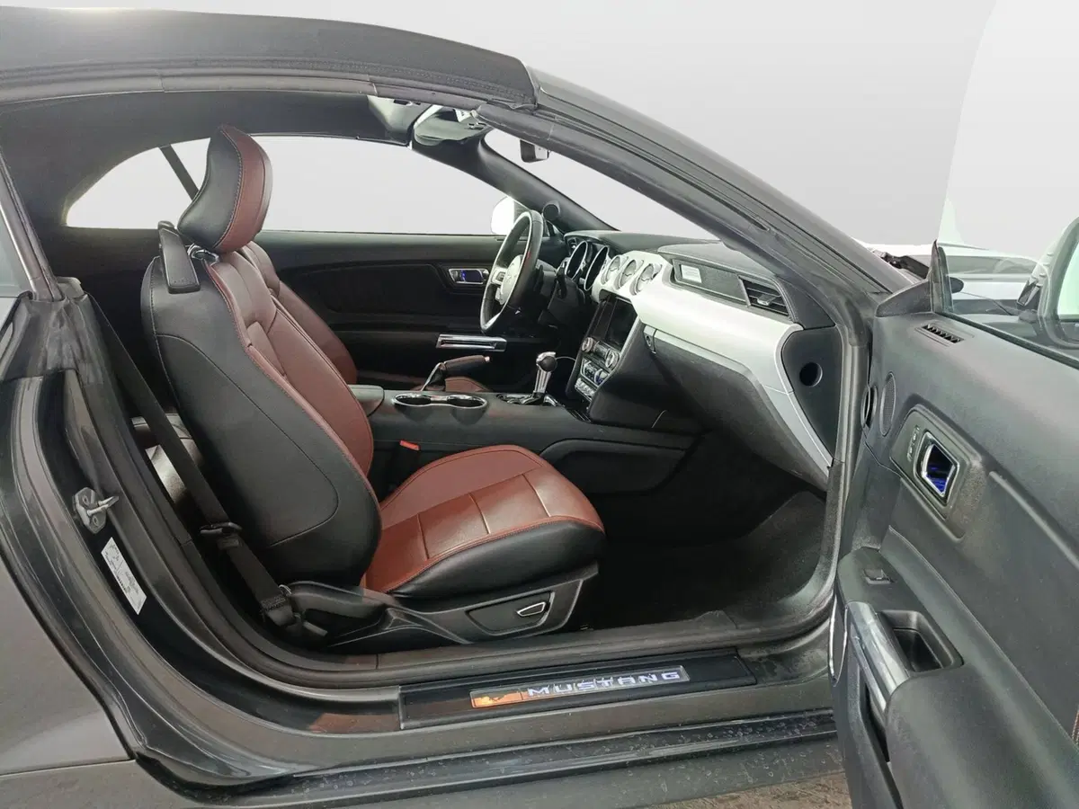 Ford Mustang Cabrio usata a Ascoli Piceno (10)