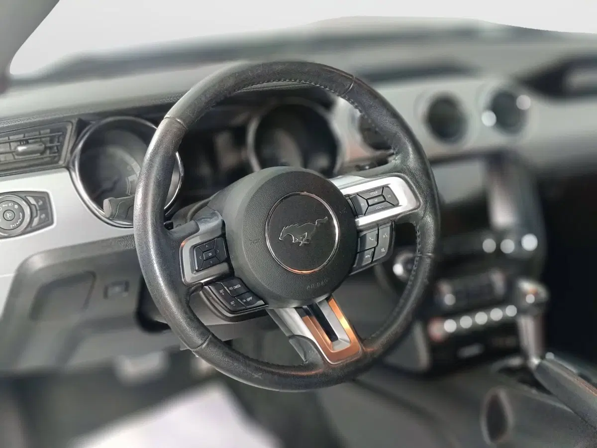Ford Mustang Cabrio usata a Ascoli Piceno (15)
