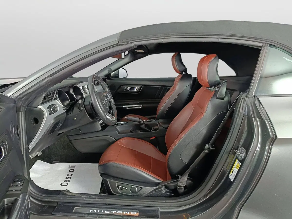 Ford Mustang Cabrio usata a Ascoli Piceno (8)