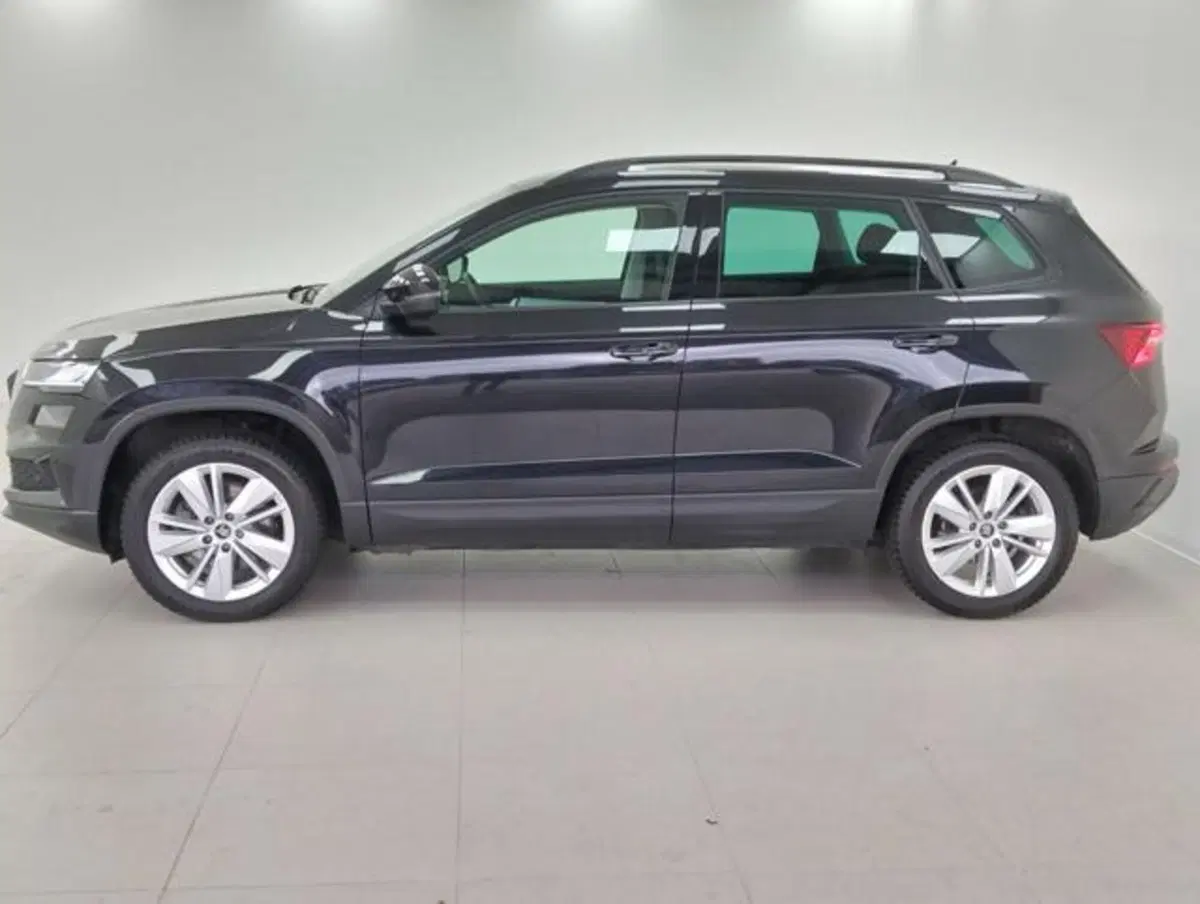 Skoda Karoq usata a Como (8)