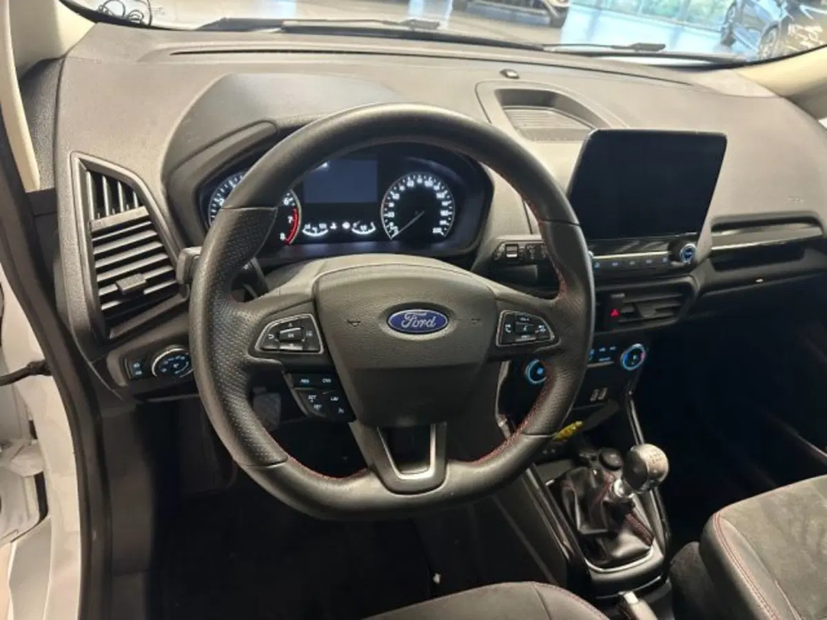 Ford EcoSport usata a Cuneo (10)