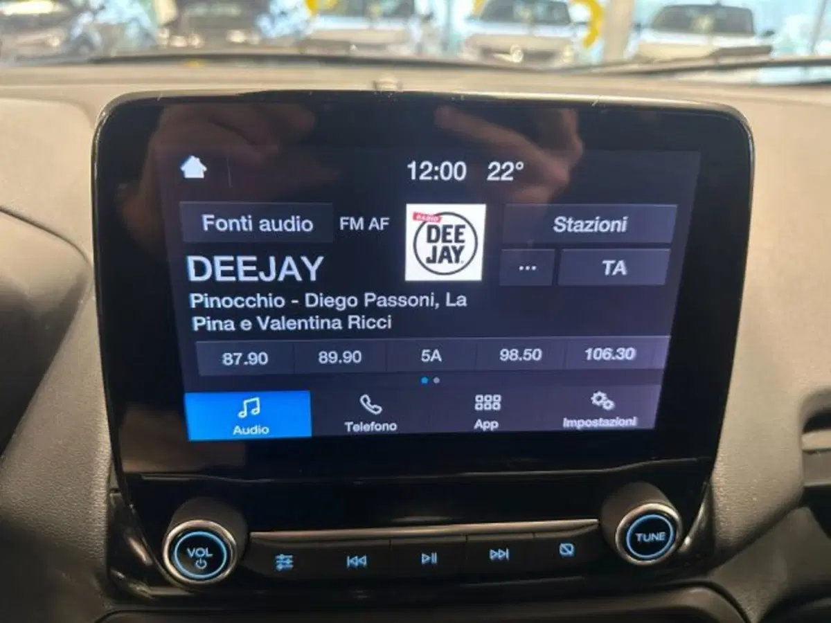 Ford EcoSport usata a Cuneo (13)