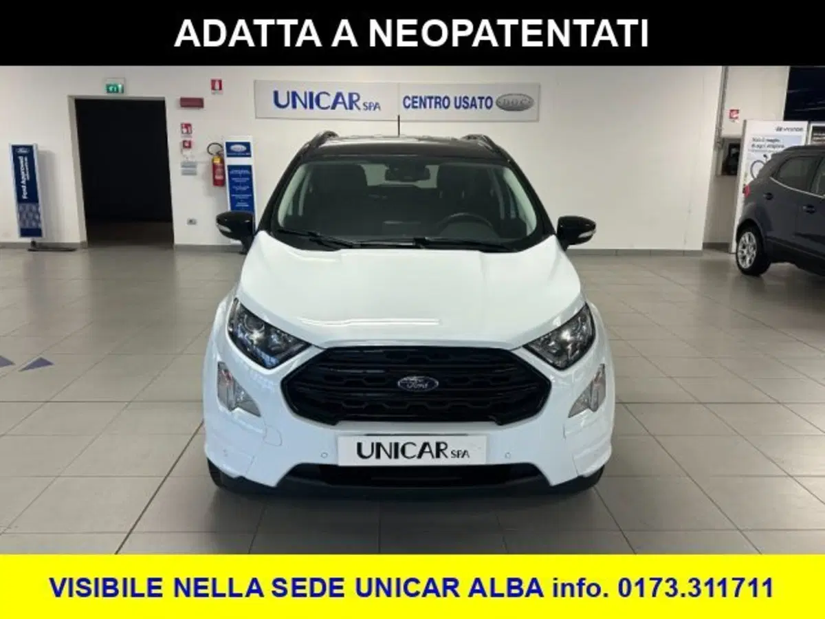Ford EcoSport usata a Cuneo (2)