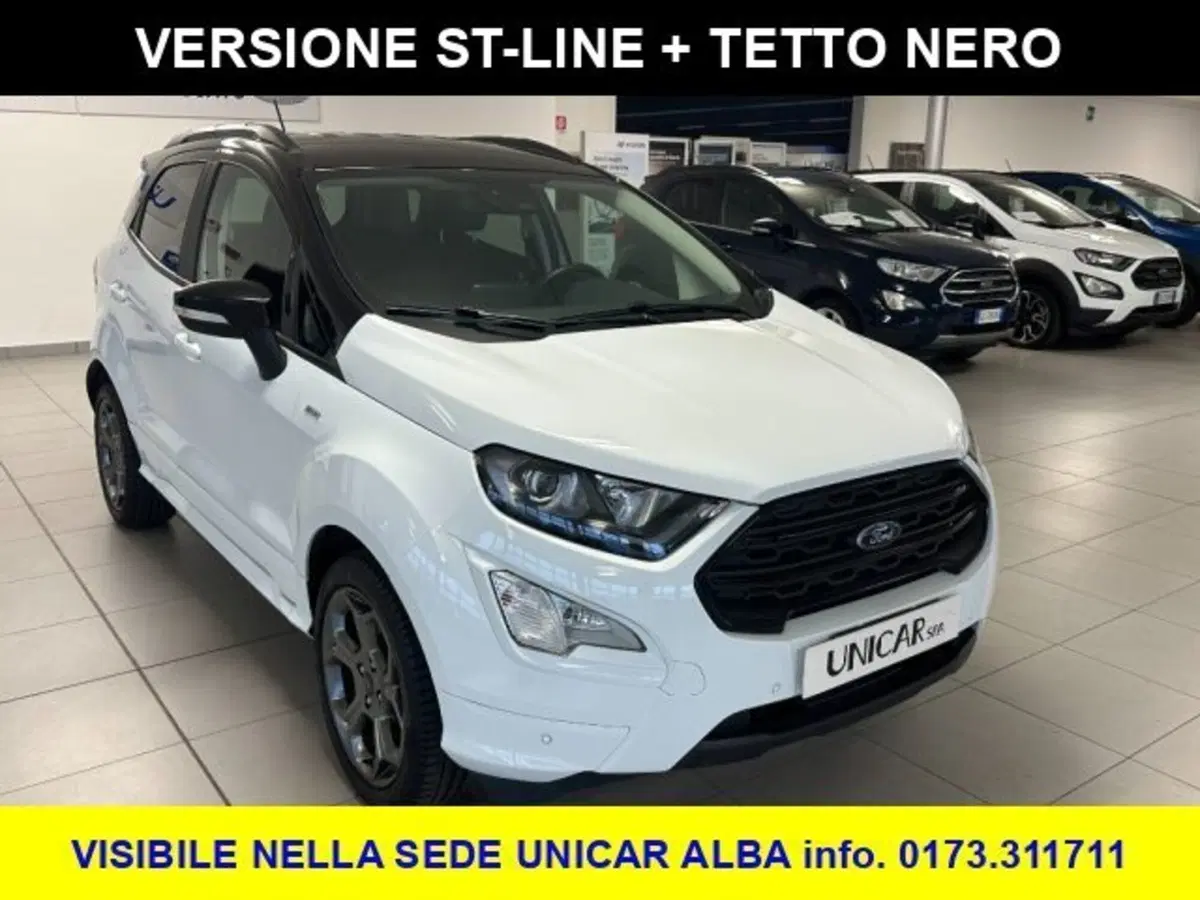 Ford EcoSport usata a Cuneo (3)
