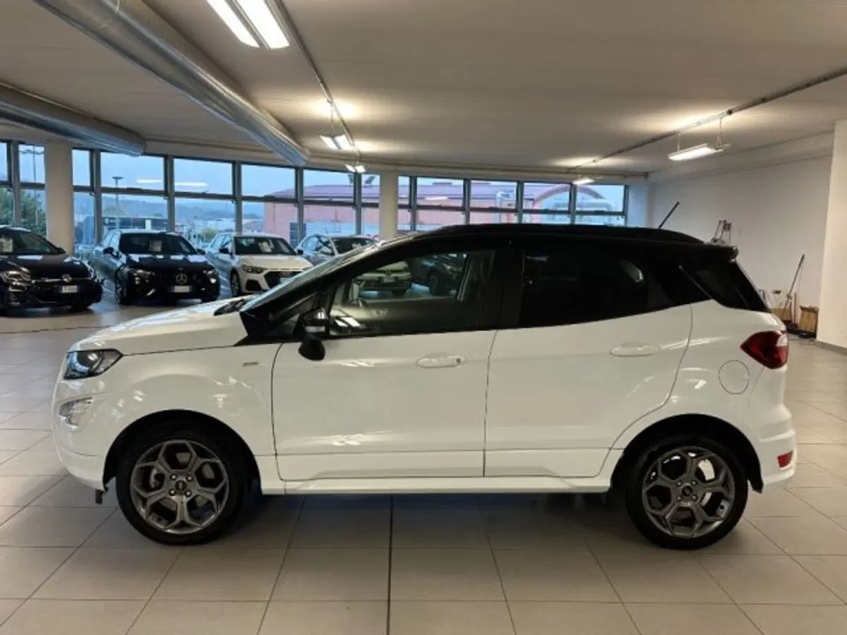 Ford EcoSport usata a Cuneo (4)