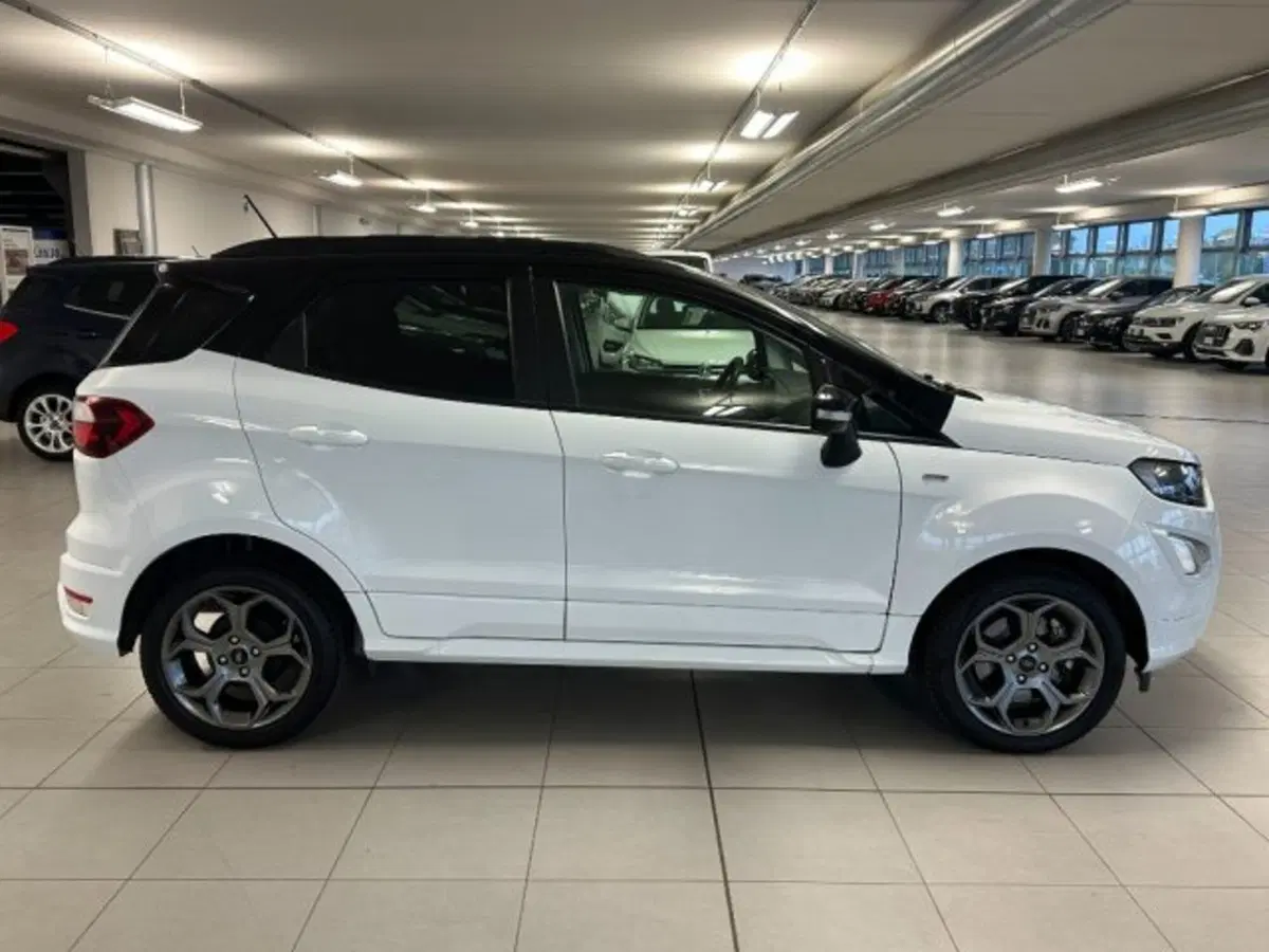 Ford EcoSport usata a Cuneo (8)