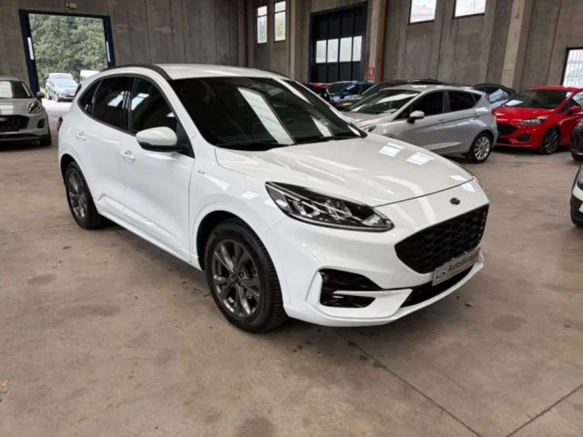 Ford Kuga usata a Lodi (3)