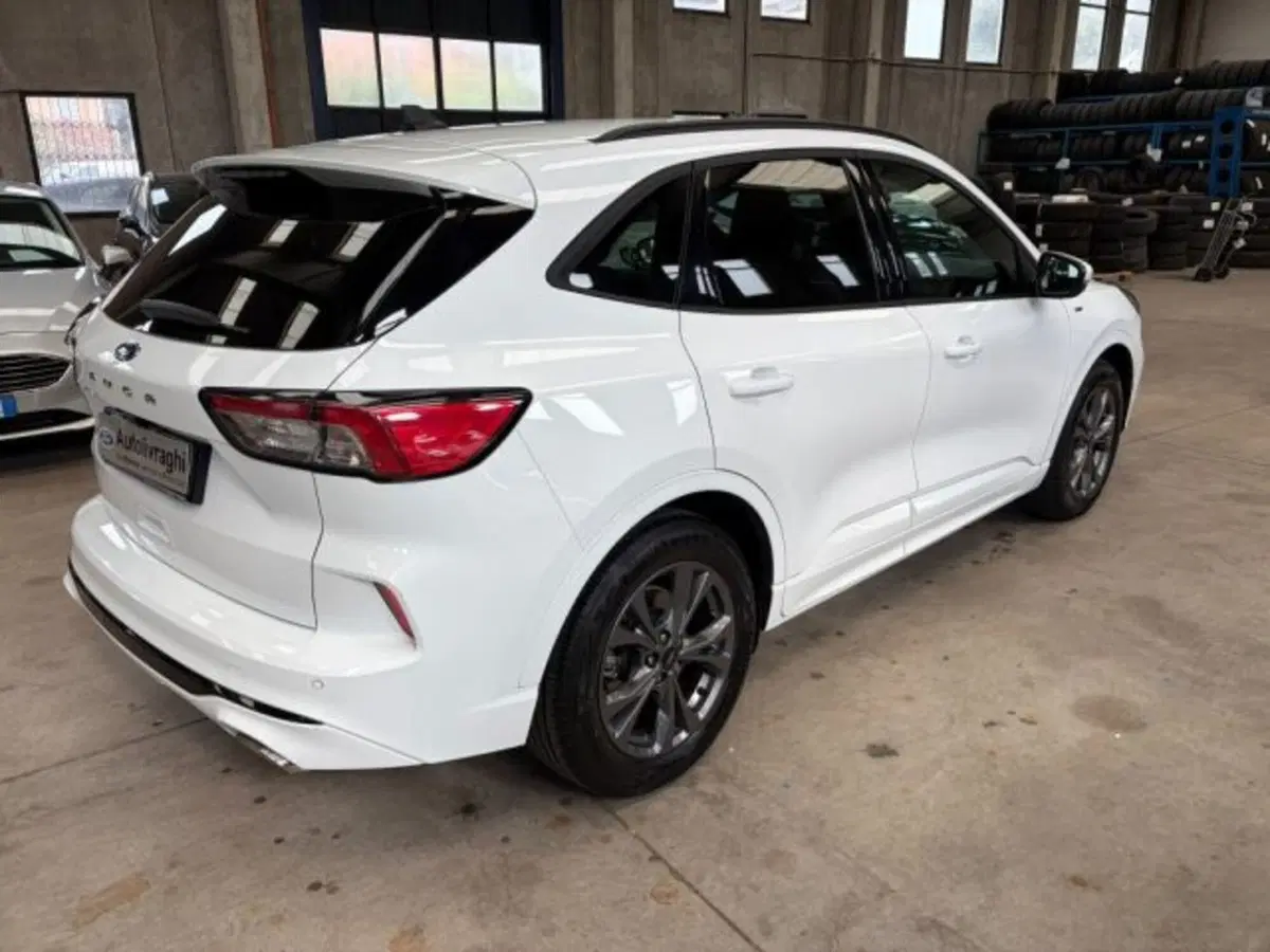 Ford Kuga usata a Lodi (6)