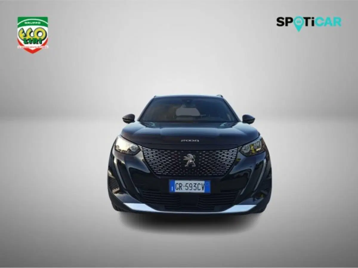 Peugeot 2008 usata a Frosinone (19)