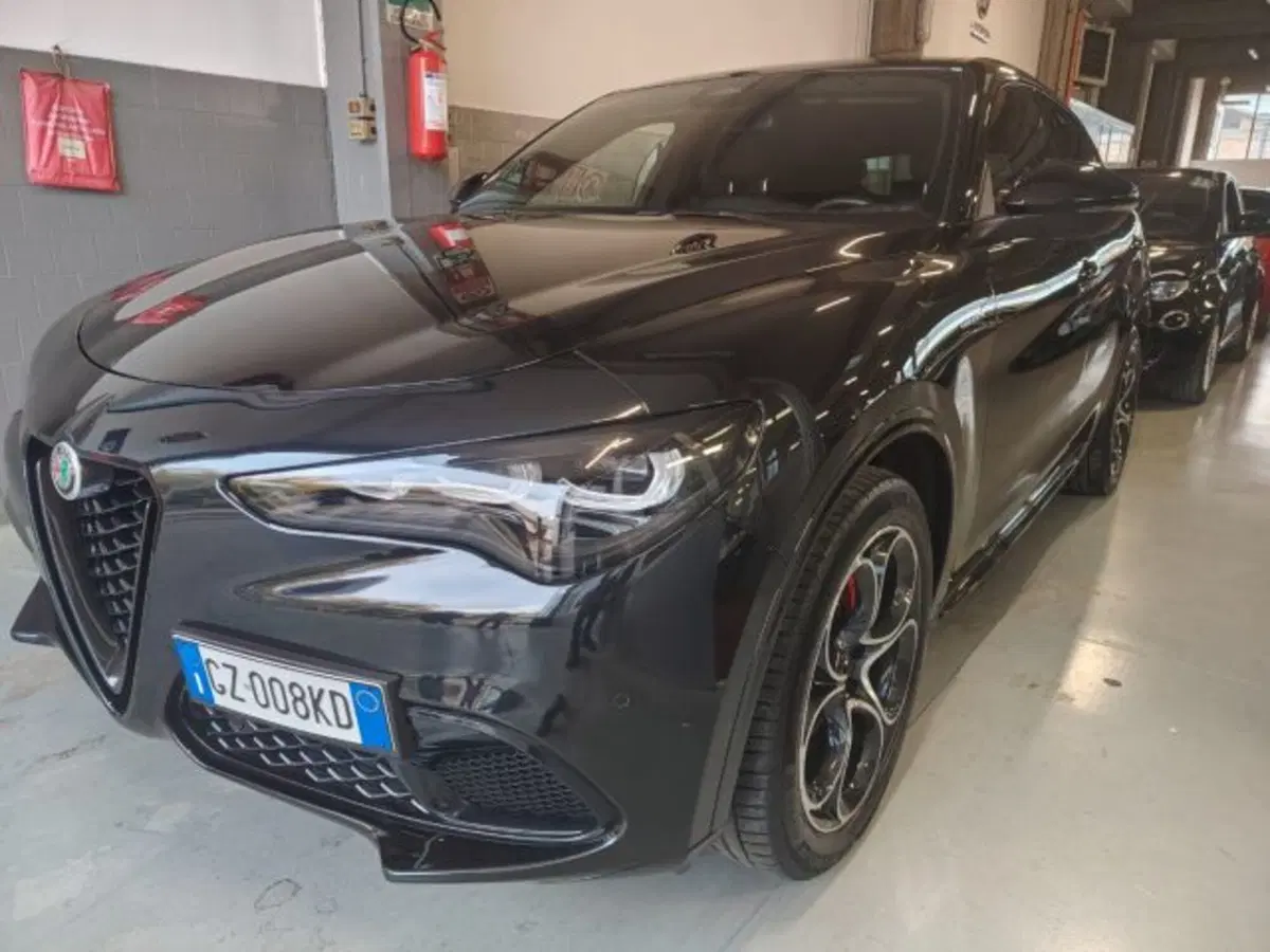 Alfa Romeo Stelvio usata a Forlì-Cesena (3)