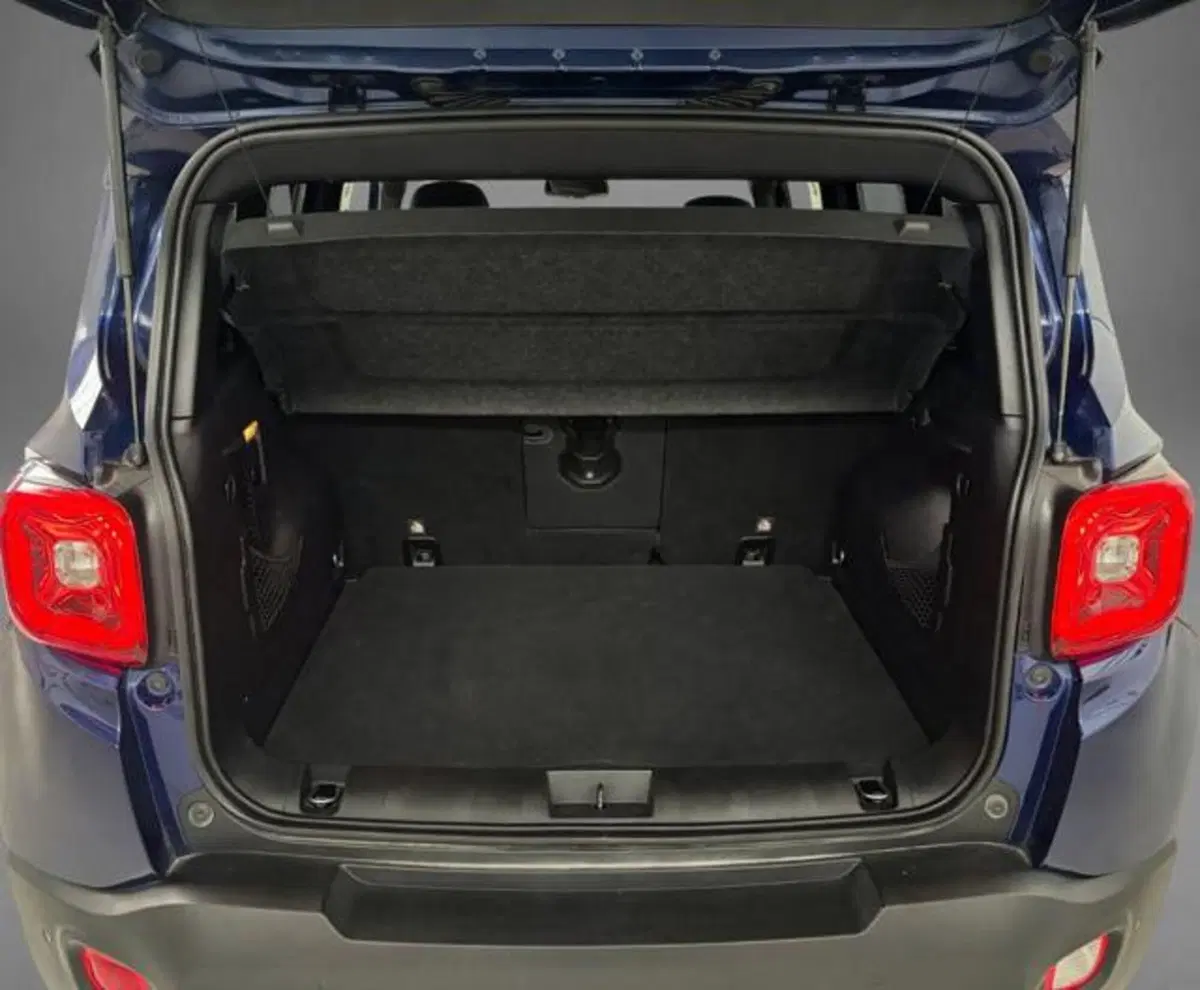 Jeep Renegade usata a Lodi (9)