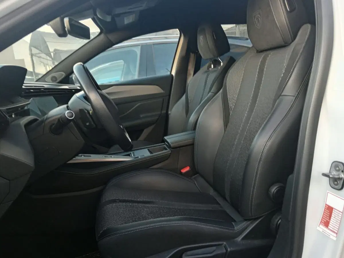 Peugeot 308 usata a Alessandria (5)