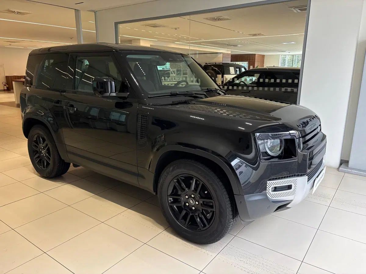 Land Rover Defender usata a Torino (3)