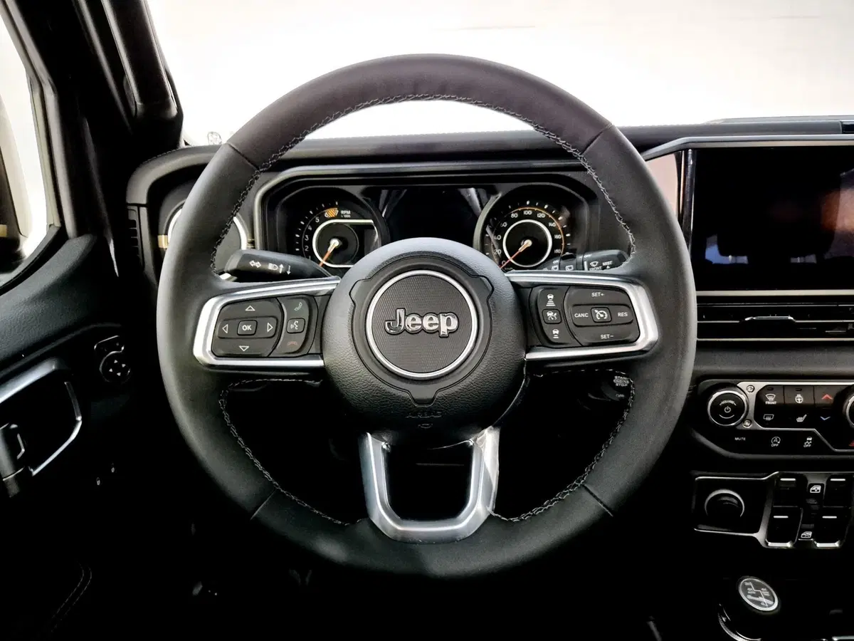 Jeep Wrangler Unlimited usata a Torino (9)