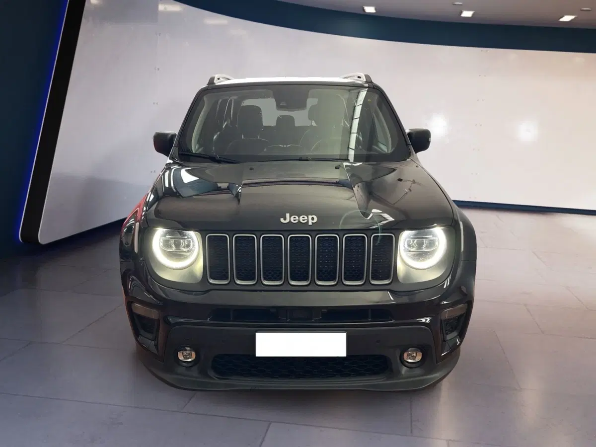 Jeep Renegade usata a Torino
