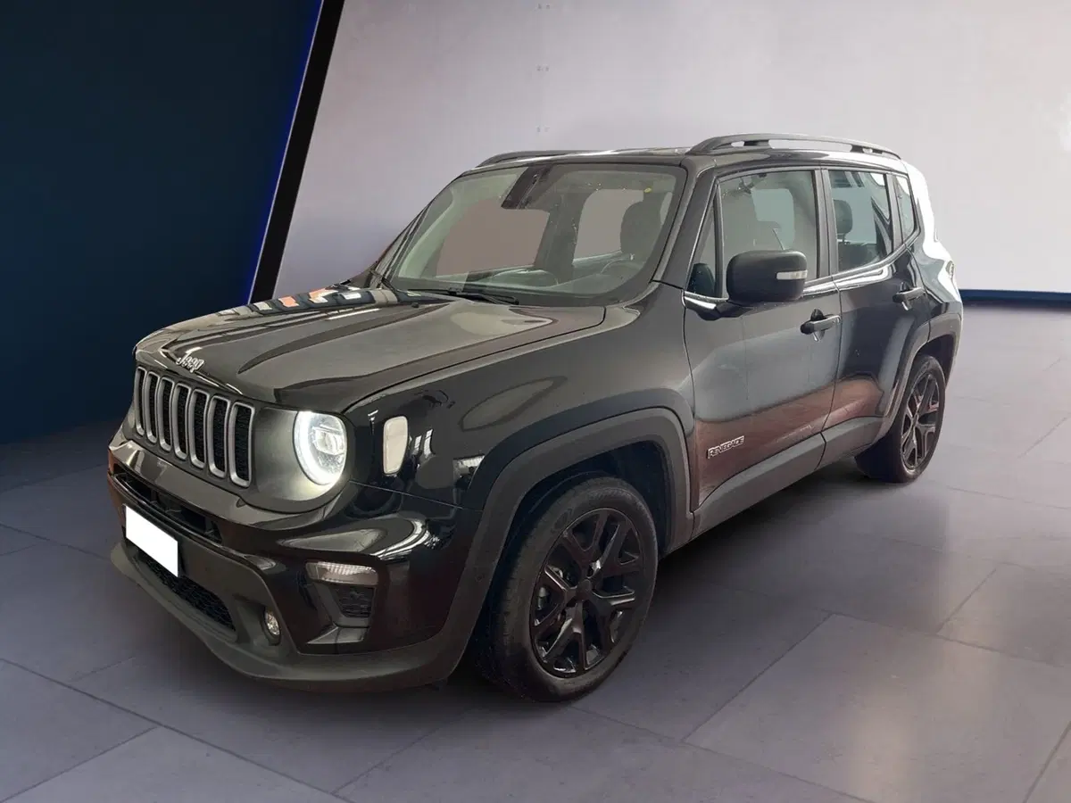 Jeep Renegade usata a Torino (2)