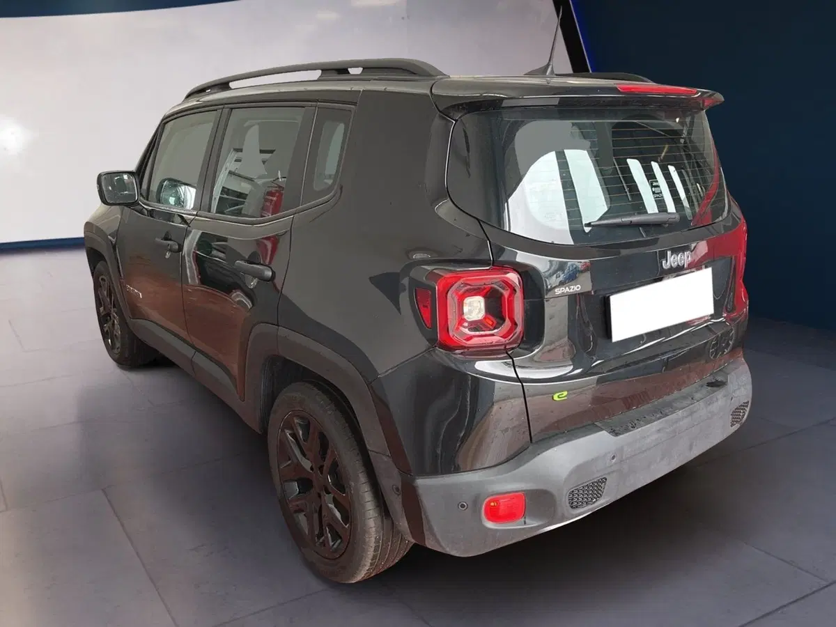 Jeep Renegade usata a Torino (6)